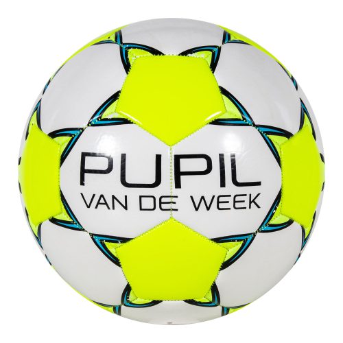 287950-2400-01 pupil van de week